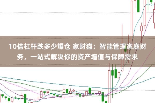 10倍杠杆跌多少爆仓 家财猫：智能管理家庭财务，一站式解决你的资产增值与保障需求