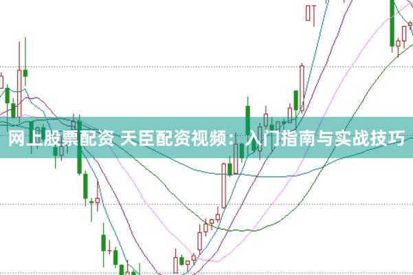 网上股票配资 天臣配资视频：入门指南与实战技巧