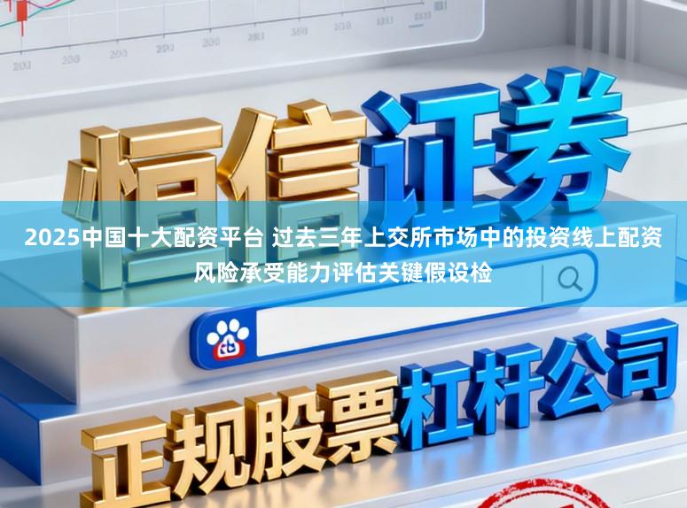 2025中国十大配资平台 过去三年上交所市场中的投资线上配资风险承受能力评估关键假设检