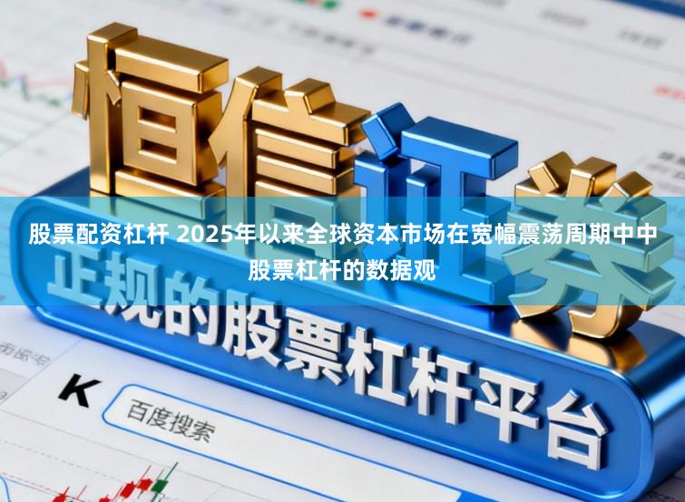股票配资杠杆 2025年以来全球资本市场在宽幅震荡周期中中股票杠杆的数据观